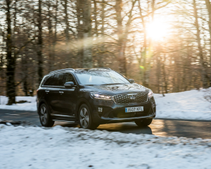 Sorento